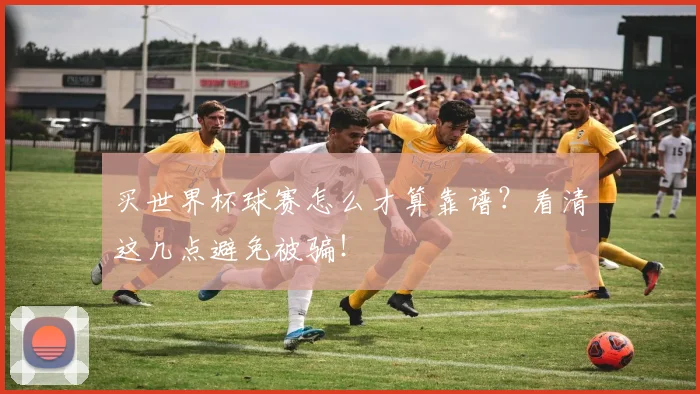 买世界杯球赛怎么才算靠谱？看清这几点避免被骗！