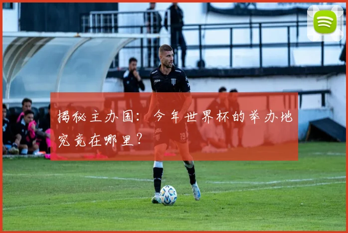 揭秘主办国:今年世界杯的举办地究竟在哪里?