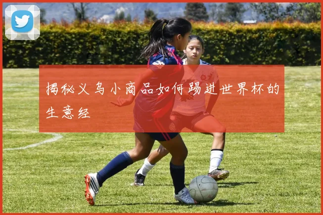 揭秘义乌小商品如何踢进世界杯的生意经