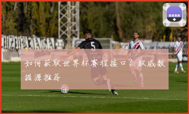 如何获取世界杯赛程接口？权威数据源推荐