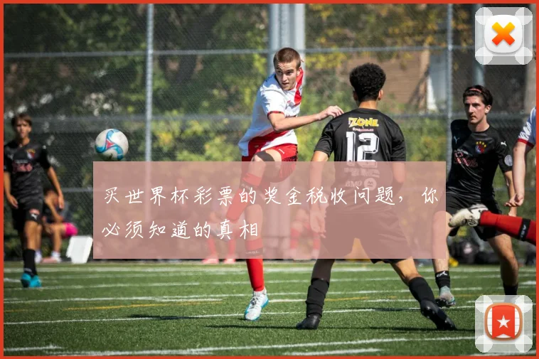 买世界杯彩票的奖金税收问题，你必须知道的真相