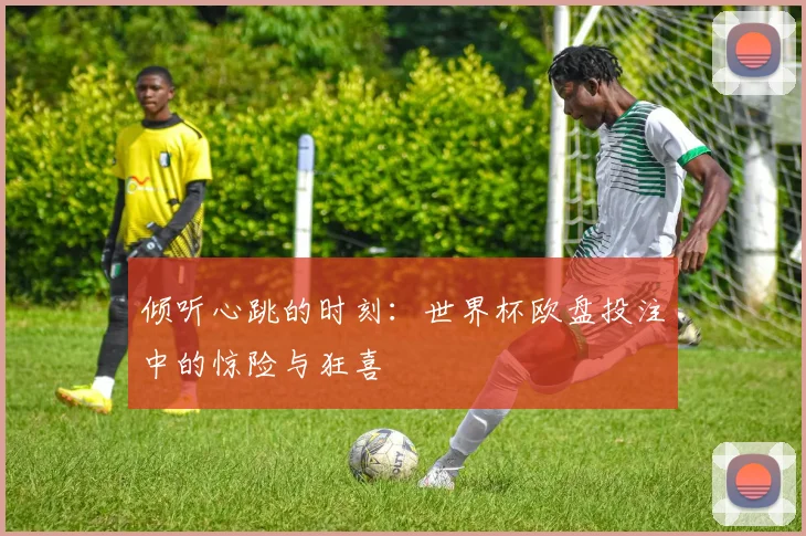 倾听心跳的时刻:世界杯欧盘投注中的惊险与狂喜